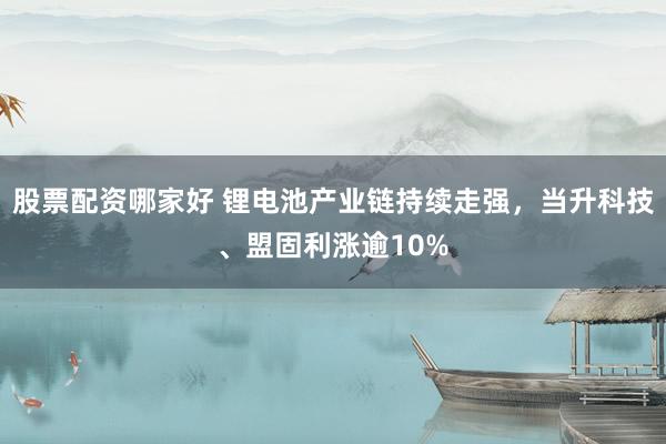 股票配资哪家好 锂电池产业链持续走强，当升科技、盟固利涨逾10%