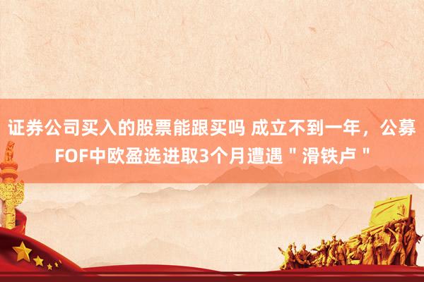 证券公司买入的股票能跟买吗 成立不到一年，公募FOF中欧盈选进取3个月遭遇＂滑铁卢＂