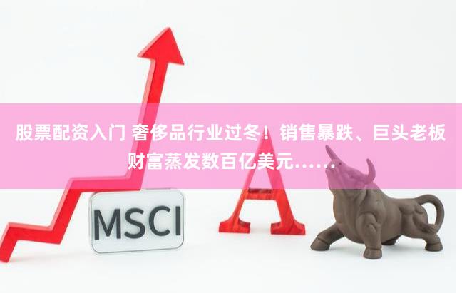 股票配资入门 奢侈品行业过冬！销售暴跌、巨头老板财富蒸发数百亿美元……